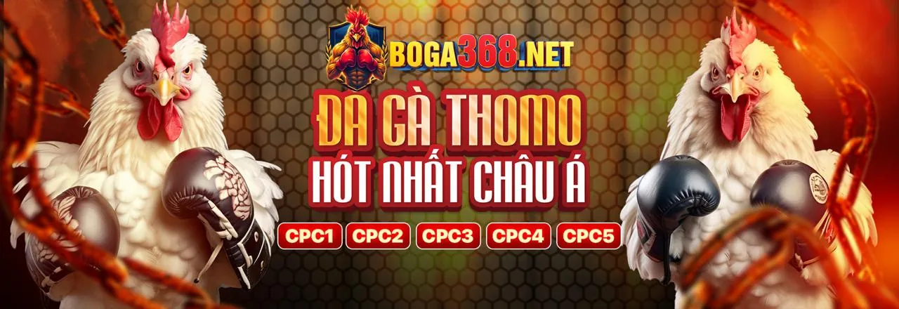 Hình ảnh chính về Game Bài hitcup